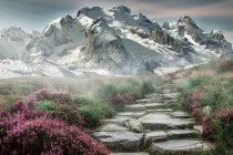 今天有什么游戏开服，今日开区的游戏？